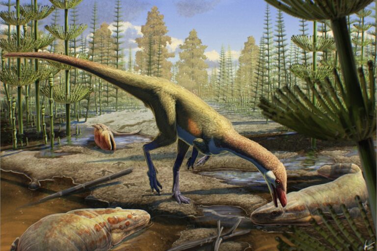 230 Million-Year-Old Fossil From Wyoming Challenges Dinosaur Origin Theories