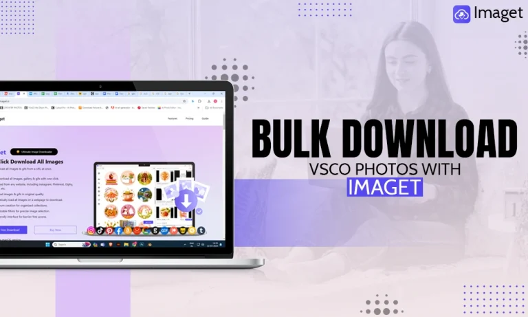 How to Bulk Download VSCO Photos with Imaget?