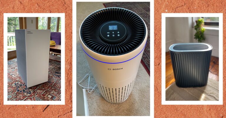 17 Best Air Purifiers (2024): Coway, AirDoctor, IQAir