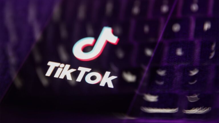 ByteDance, TikTok ask appeals court to temporarily block sell-or-ban law